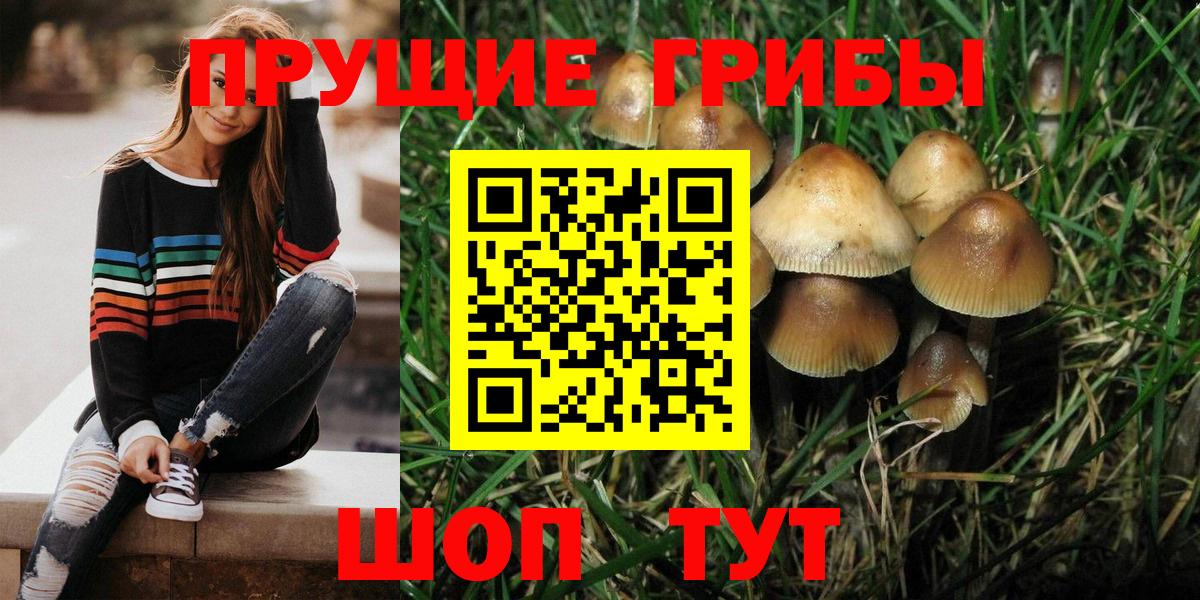 где купить наркотик  Галлюциногенные грибы Psilocybe  Вход с VPN  Галлюциногенные грибы Magic Shrooms  Пыть-Ях 
